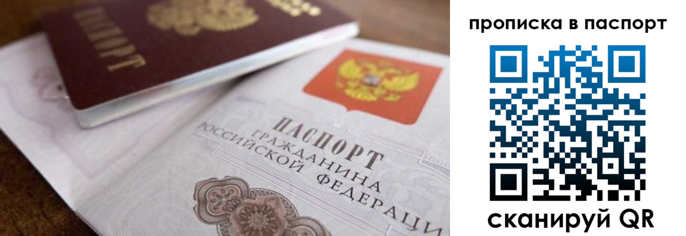 где прописаться в Мурманской области